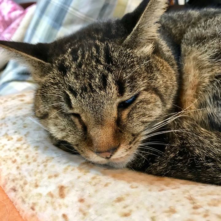 E7bcffc0 3b4f 477f be7a 8701059c7b10 1542010528336