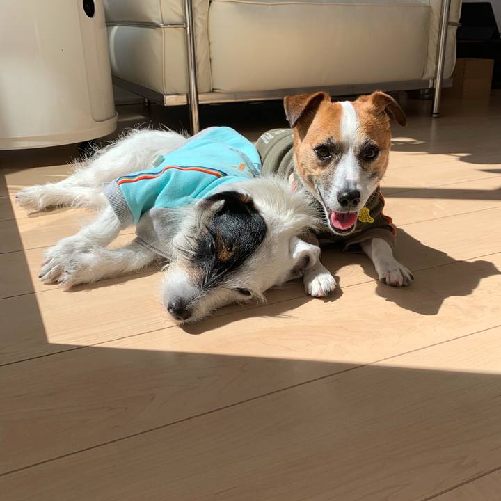 E7bd3164 11e1 47d5 a65d 73f192df5ff6 1555388885650