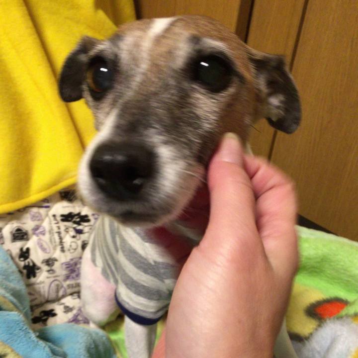 E7bd5bf8 a0f4 4ad0 b081 2632d0182ef8 1589852629262