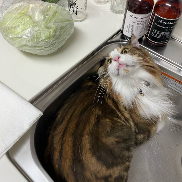 E7bd73ee b722 44bd a703 f3d351cc669f 1692736166979