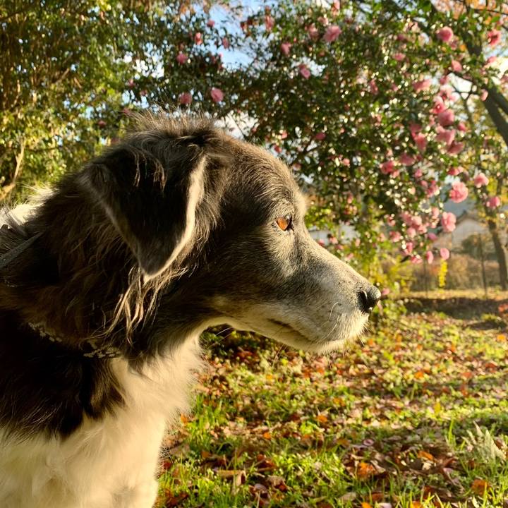 E7bda9ae e168 4c51 b897 085aa6aad942 1730693701645