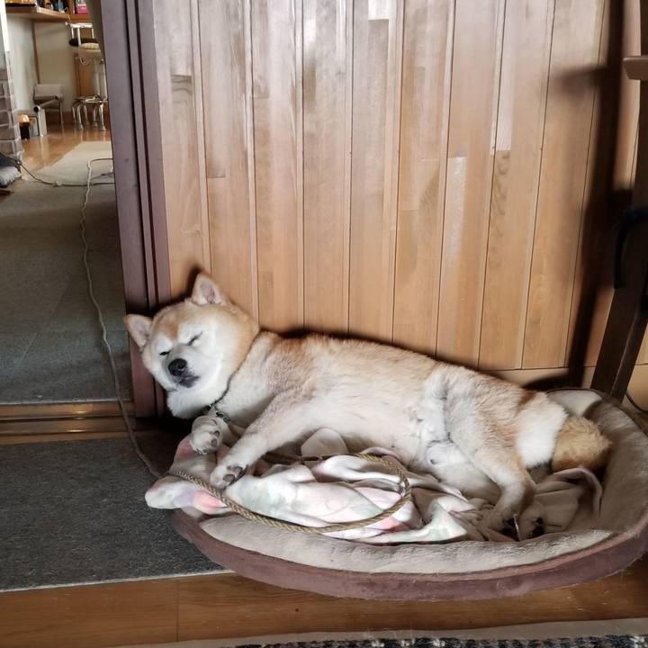 E7bdd839 1731 4b59 b93e 0d7185c18e02 1688253330285