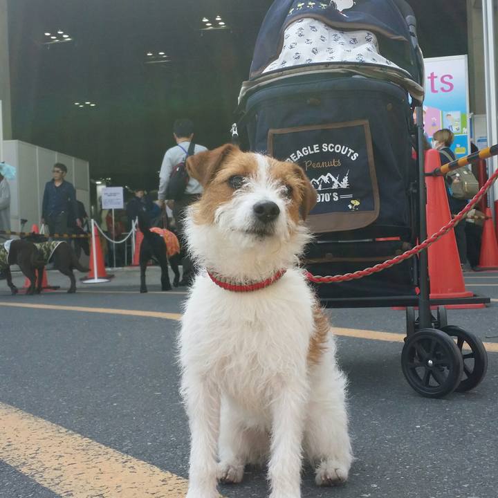 E7be0c77 da1d 4664 b86a 855b137cd05b 1522469311256