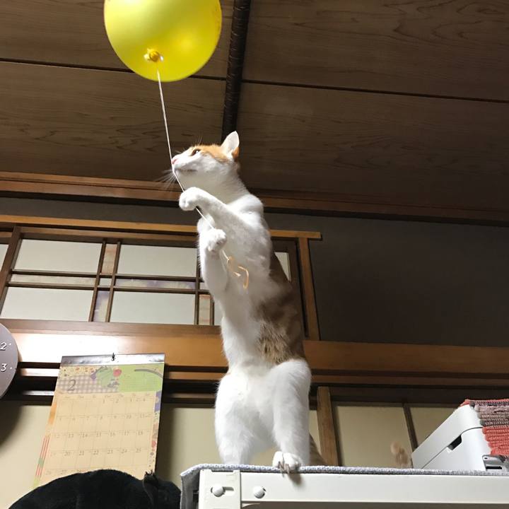 E7be13cf f79a 4181 81f2 ae39c0cd9c70 1529758371488