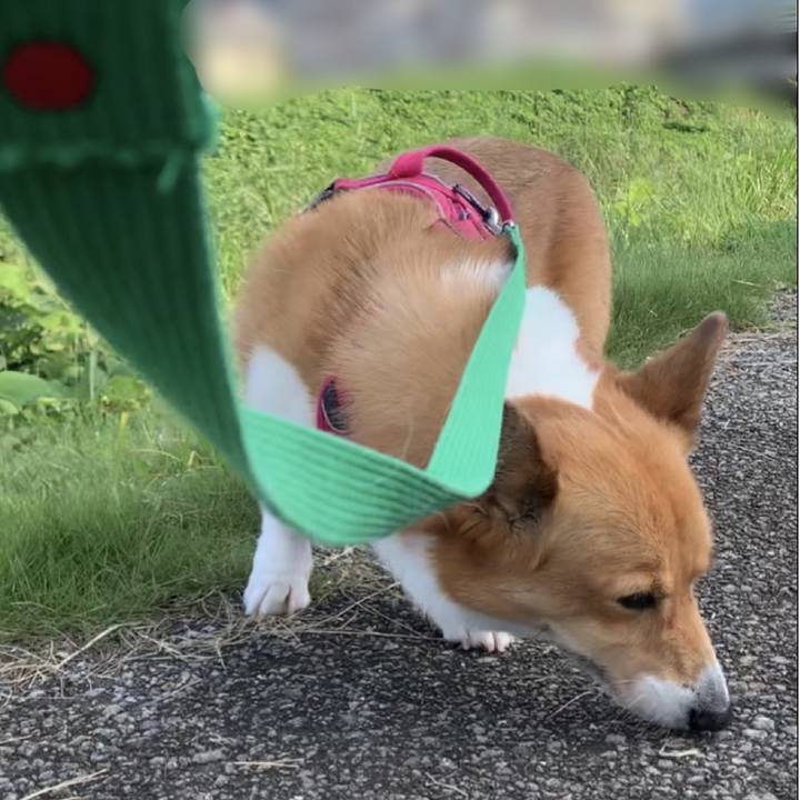 E7be5633 2b7c 4528 af04 bb1355faf12b 1626911703637