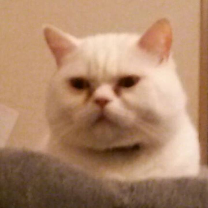 E7be57b2 e647 4b82 bf90 b99c3080663a 1512730095558