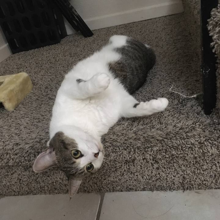 E7be5a69 9a46 4999 ba9e 1de74776f87e 1632535592868