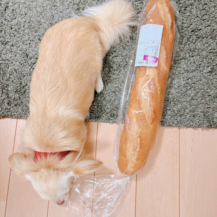 E7bf0266 ac08 4e85 b030 60bd0cae41fa 1658731541477