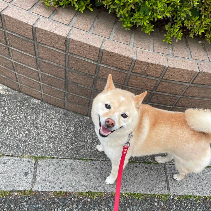 E7bf0a79 0eb2 4ff0 bcf8 b6d0265d3d3e 1682066841170