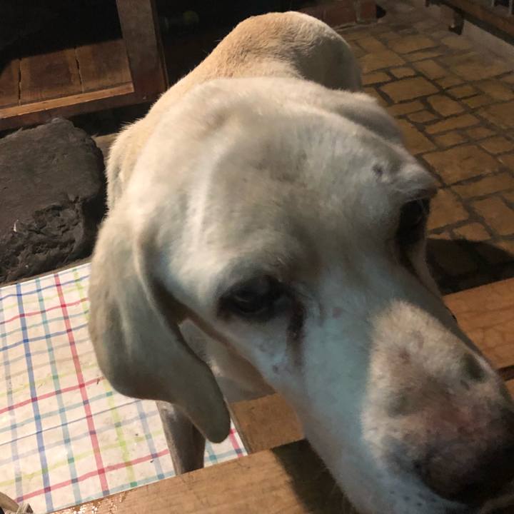 E7bf0d7f 0997 42ad b940 a8b645e26b30 1508162755607