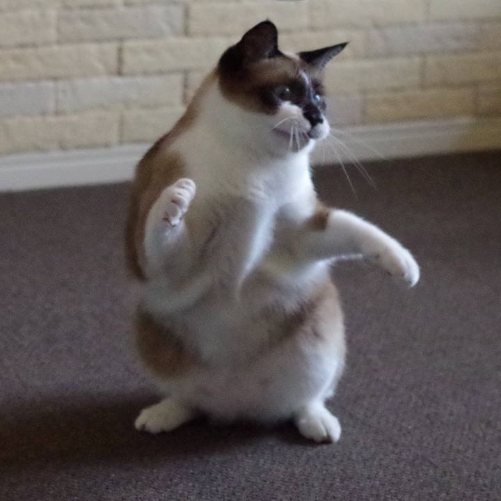 E7bf0f1f 7e5c 4b13 935a 875e5ddfae01 1526720306670