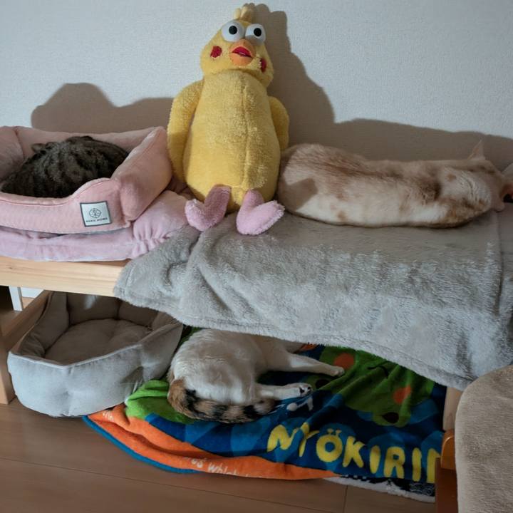 E7bf1348 0662 4e0d 8123 da9927affddd 1736110005353