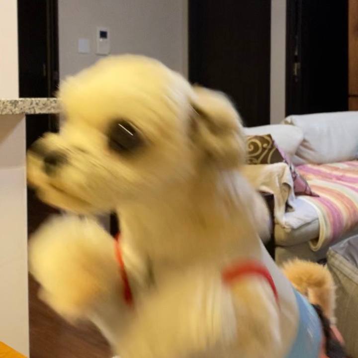 E7bf3fe4 c000 4dfc 8568 bb483c2102fb 1571202363649