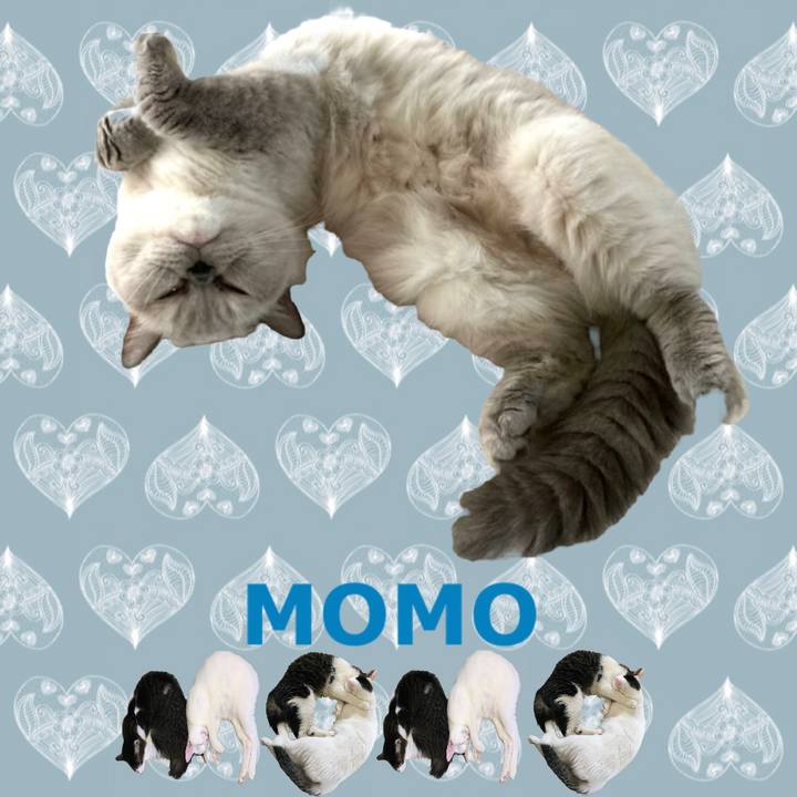 E7bf7b2f 1793 4e44 975a ae2efe9b793f 1667785051165