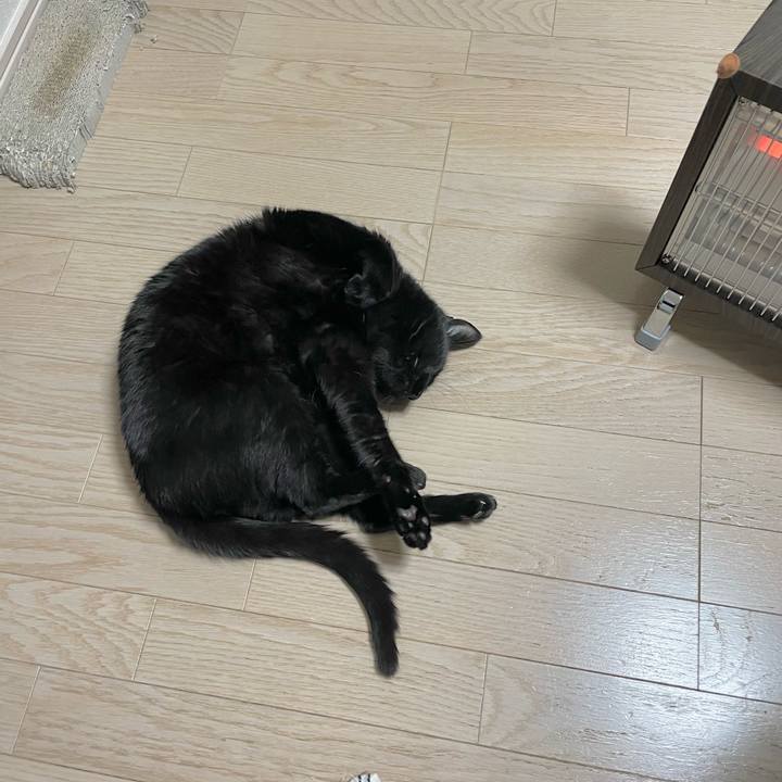 E7bf8d40 7626 431c 926a da13f4f55211 1644327061523