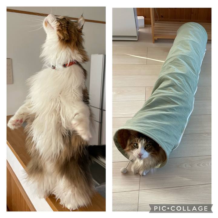 E7c007d2 3918 40b6 8eae 28a9140f7026 1683754230148