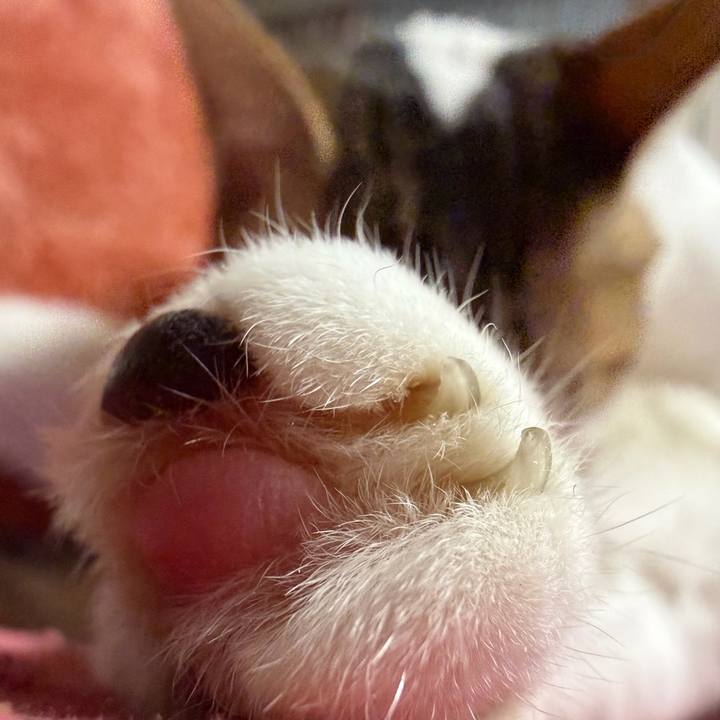 E7c01c82 7496 4d21 b71b 6a0425261e47 1766113867455