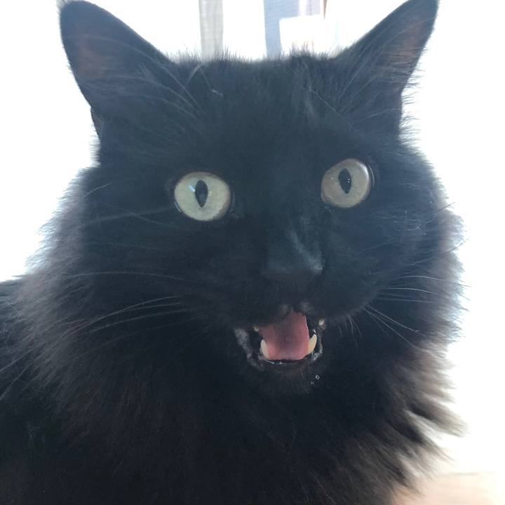 E7c031b3 9bc0 4639 ad3a 8da5be856cbc 1548840037399