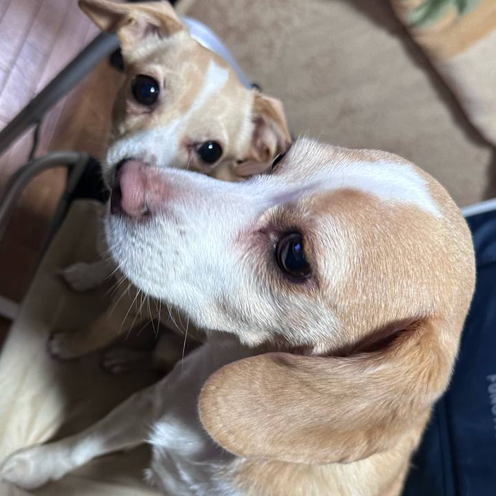 E7c03ddb 1ba1 4515 969a efac3ca4e50e 1706603173794