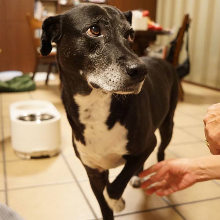 E7c042e1 d387 4c60 a878 f46e6c8c94c4 1758625918366