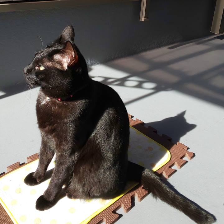 E7c068ea a706 487a afa0 2ff6e37ca54c 1580011223461