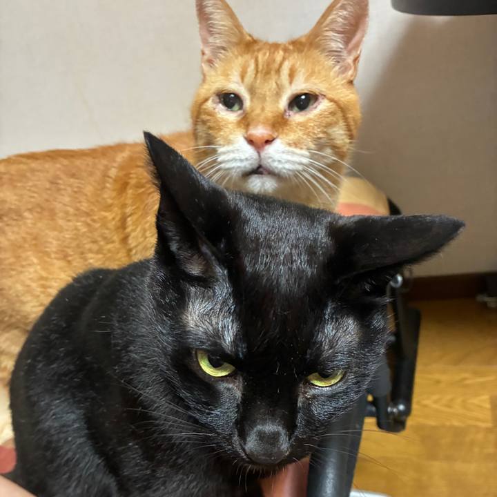 E7c06ef1 94c2 40dd bef8 e9d7995e3ac7 1753706258511