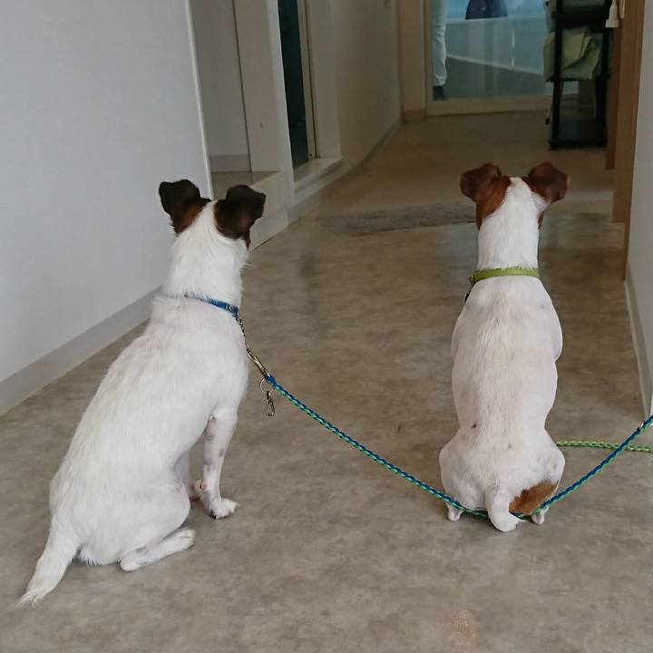 E7c0a98a b1e6 4793 87c1 c8f776e6cfa8 1607221436828