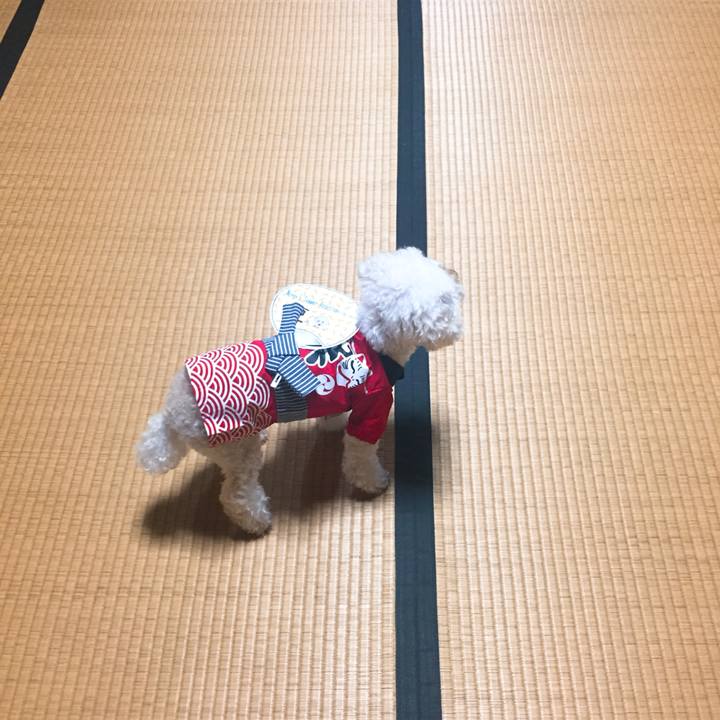 E7c0d20a 52b2 4343 8aef 66190b953e8d 1533362289140