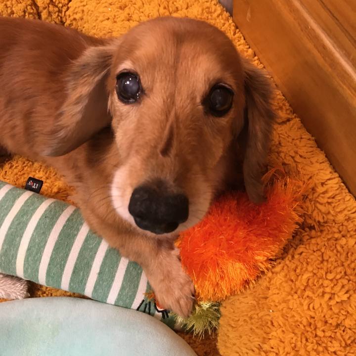 E7c0e22c 9df6 4f7e a2e5 d695fd11efb0 1626857585483