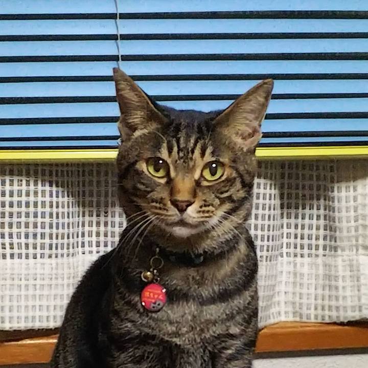 E7c0f2eb 2bbe 453c b52c 638d242e9073 1550325457807