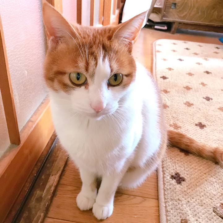 E7c11f02 74dc 46cd ab99 cb59b2ff535b 1549602439478