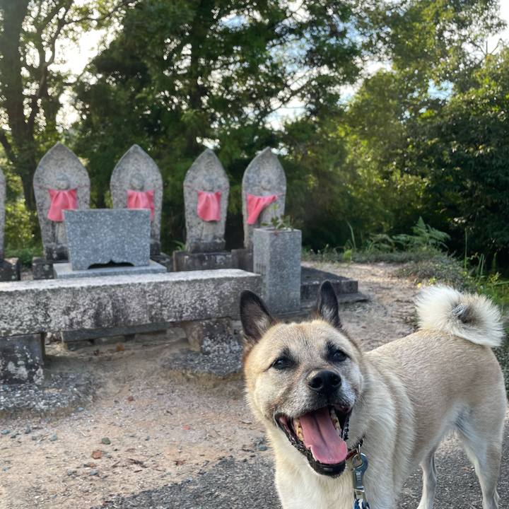 E7c15392 4d06 42f1 a673 b167a52c2ef3 1664018597115