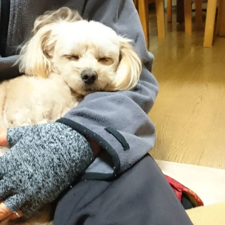 E7c153c0 84b8 474c 907c 4a35c993fa55 1513413411089