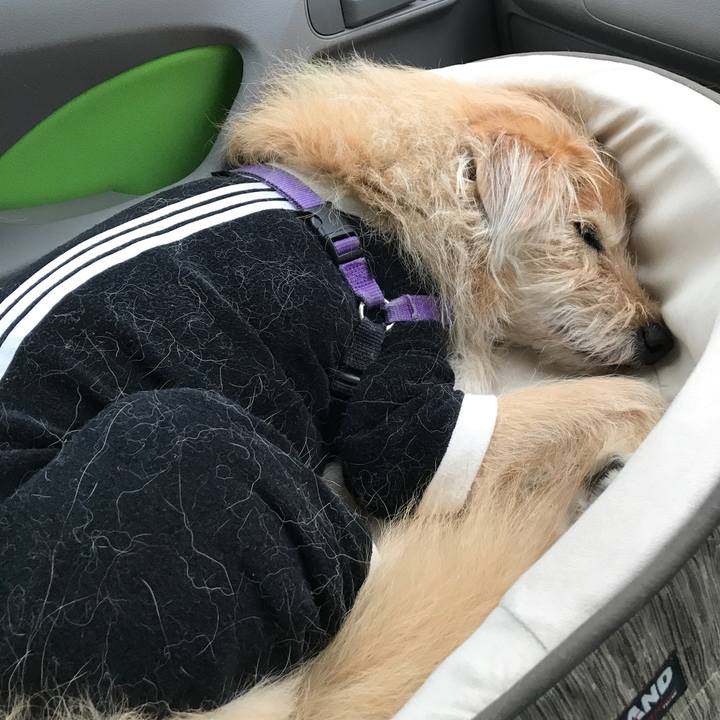 E7c17b28 f053 4f40 8758 66499cff7531 1557449824096