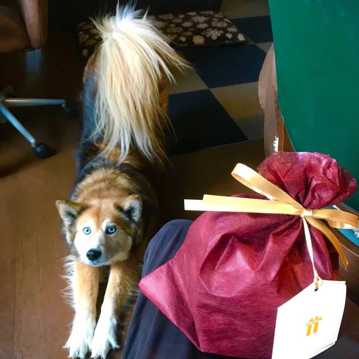 E7c1fc26 5292 4564 bbb2 d49a55d4ebc4 1581651759603