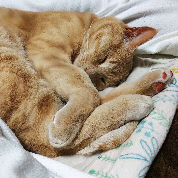 E7c22845 7412 4181 a653 f0fef7238012 1619960561678