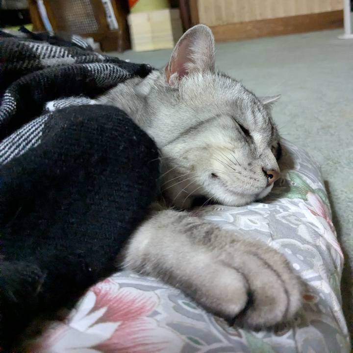 E7c24e8b 54c5 4d8f b0b0 552881346428 1769960315847