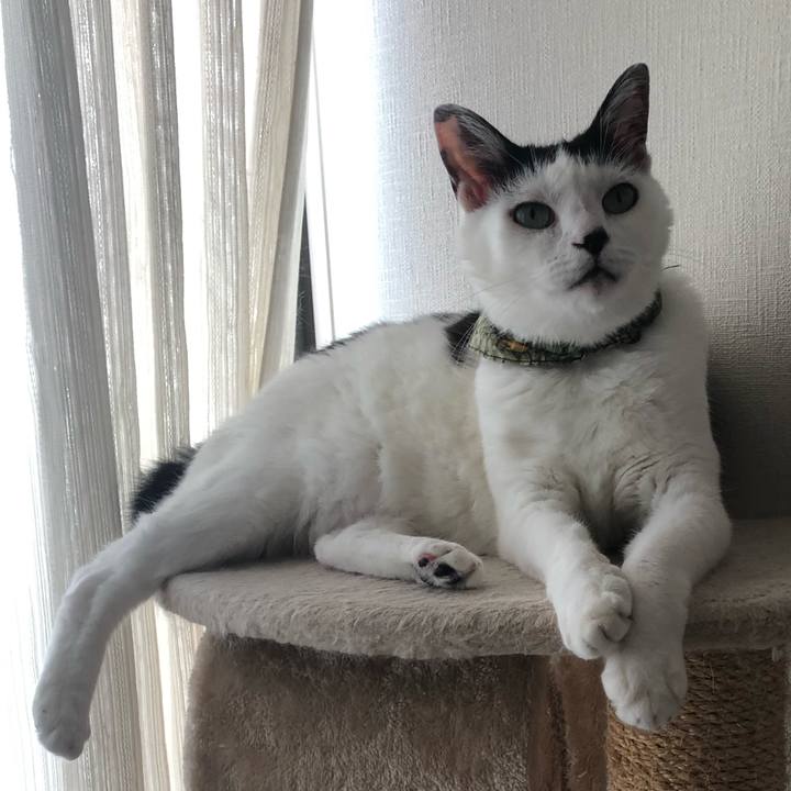 E7c28b7a 0310 4764 9b02 aad065e6fc40 1566131219242