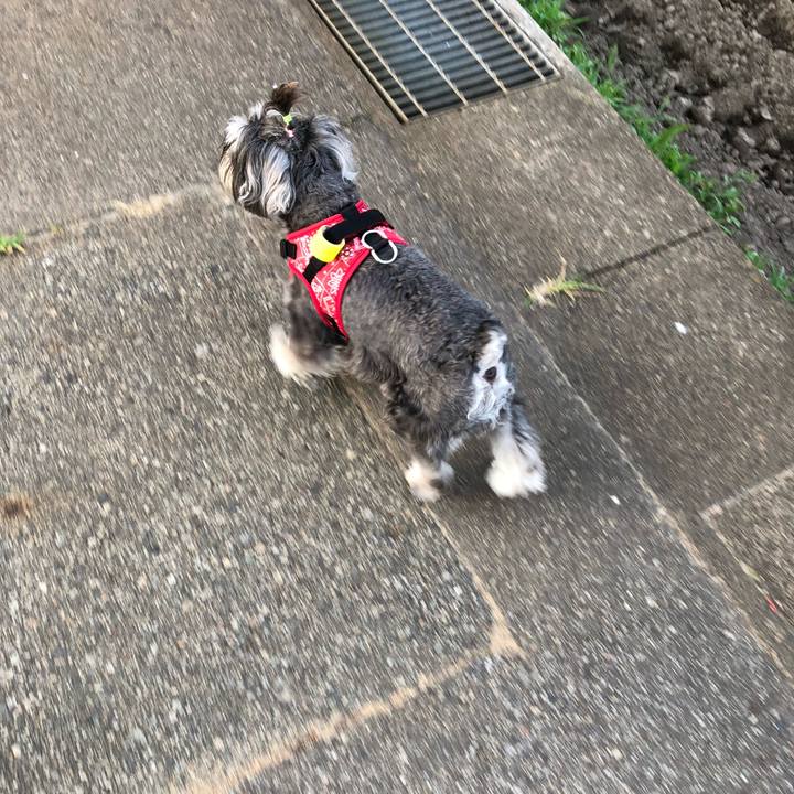 E7c2b4be 5383 435c 9c2d 9ac93c84bff1 1531686697226