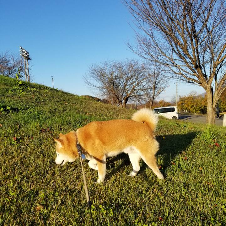 E7c2d28b de1f 4fb3 bcca 87a30d18c42f 1699426022653