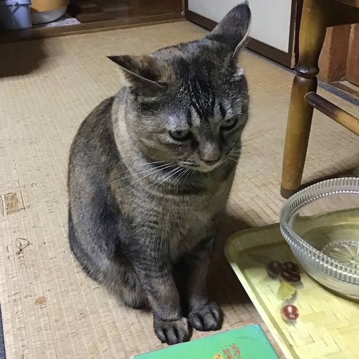 E7c2d724 960a 44a7 9bbf f86186f28052 1759232450014