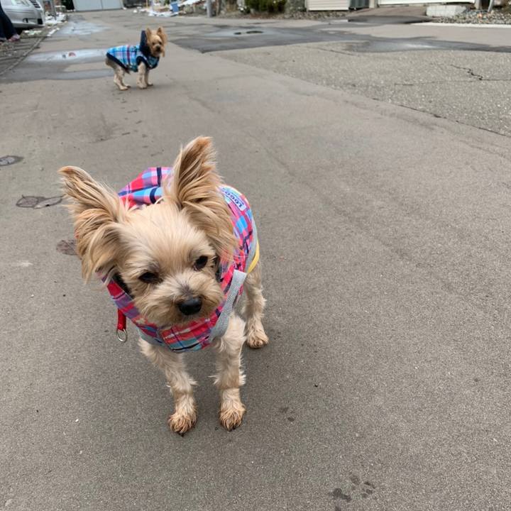 E7c2d872 acf0 4a32 a93e eb22910bbdef 1606555028671