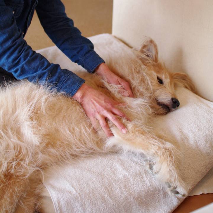 E7c3170b 6a08 4e16 8791 f2f429f28467 1554044045074