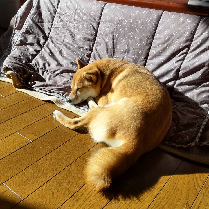 E7c3211d 443b 4182 8c04 d08c984c8ad1 1672017801120