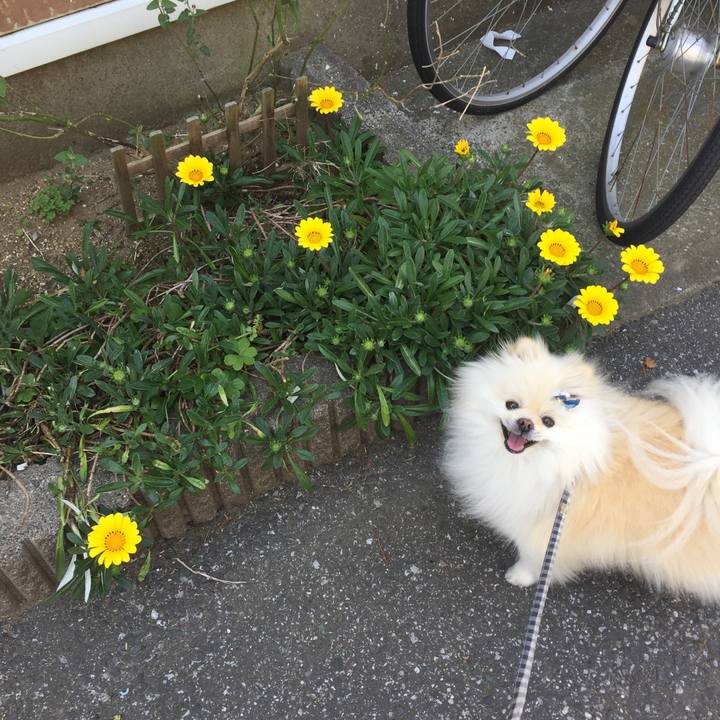 E7c32203 8fe9 4284 b813 43c5a594f7c6 1588316345410