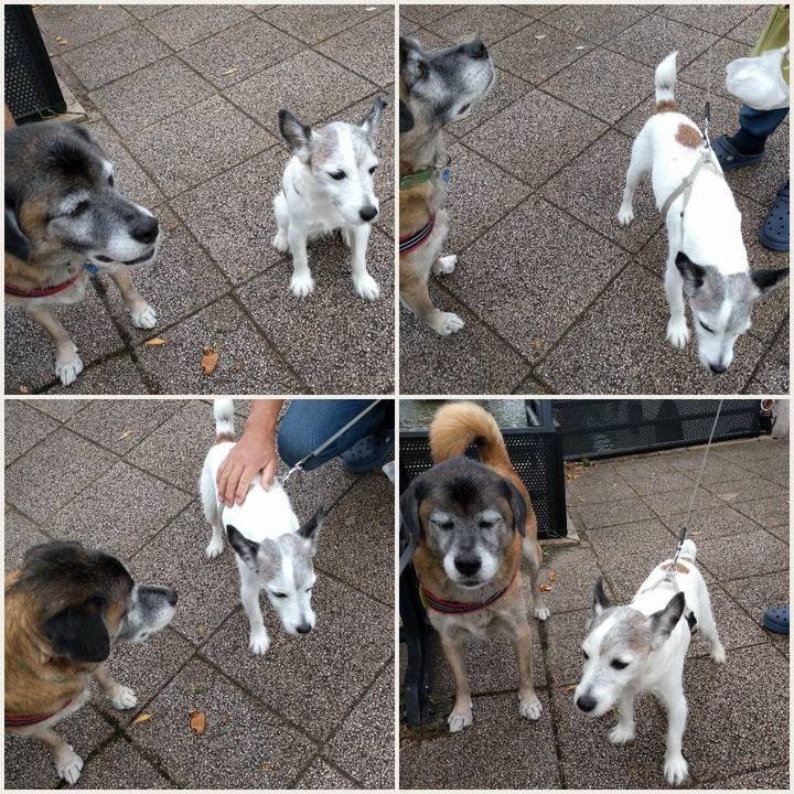 E7c332fc 69c4 420e a5c7 9bfb1e1c65fc 1652400906506