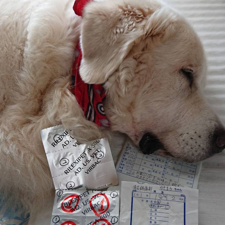 E7c33ab7 af0a 4ced b96a 683fb36b42be 1567238304162