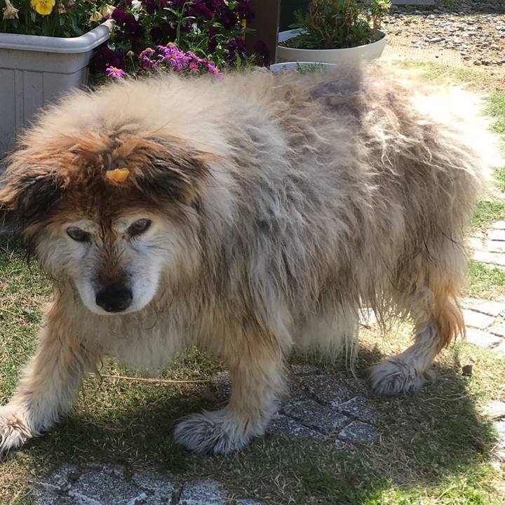 E7c39454 9689 4a85 add8 3912482b96c9 1600723747391