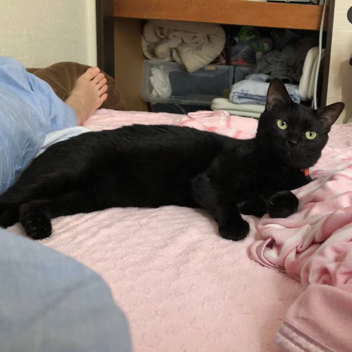 E7c3da9c 90fb 4206 a917 84cffec6d996 1561263220494