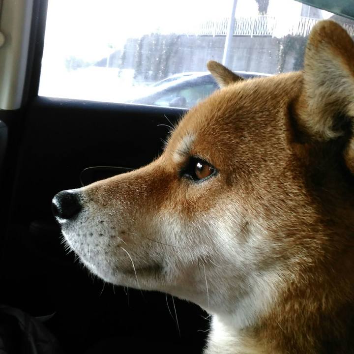 E7c3f51c abba 486f 9db4 efd4ef4fad43 1516491256389